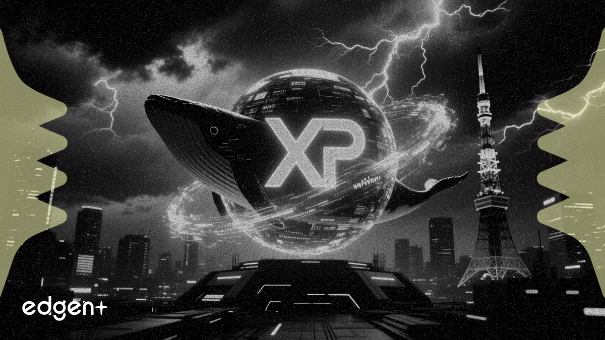 XRP 고래 보유량, 일본 주요 행사를 앞두고 10개월 만에 최고치 기록