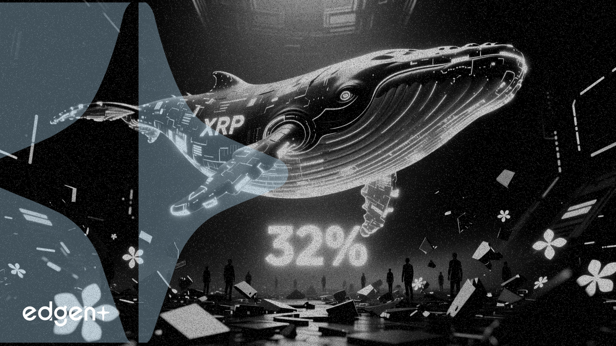 XRP 고래 보유량 32%로 사상 최고치 경신, 개인 투자자 관심은 위축