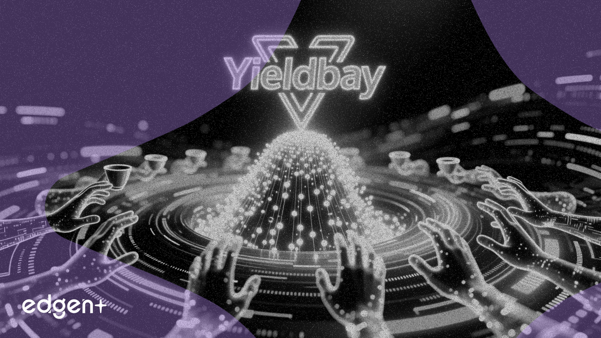 Yieldbay 推出積分計劃，助推空投猜測