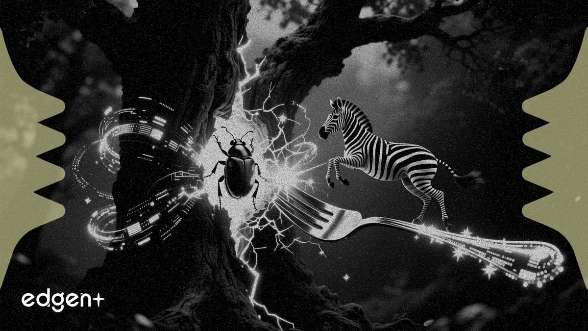 Zcash 修復關鍵 Orchard 漏洞，透過緊急分叉升級至 Zebra 5.0.0