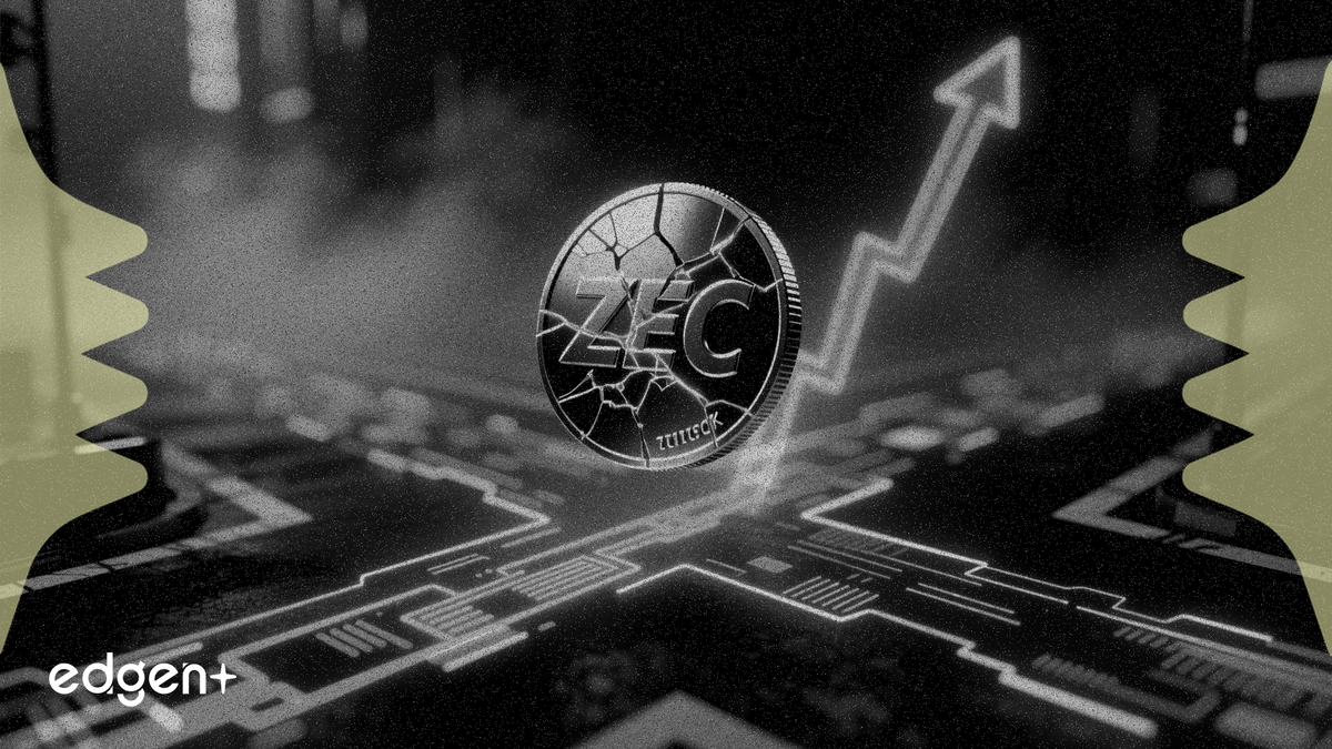 ZEC tăng 7% trong đợt tăng giá coin bảo mật khi dữ liệu on-chain phân kỳ