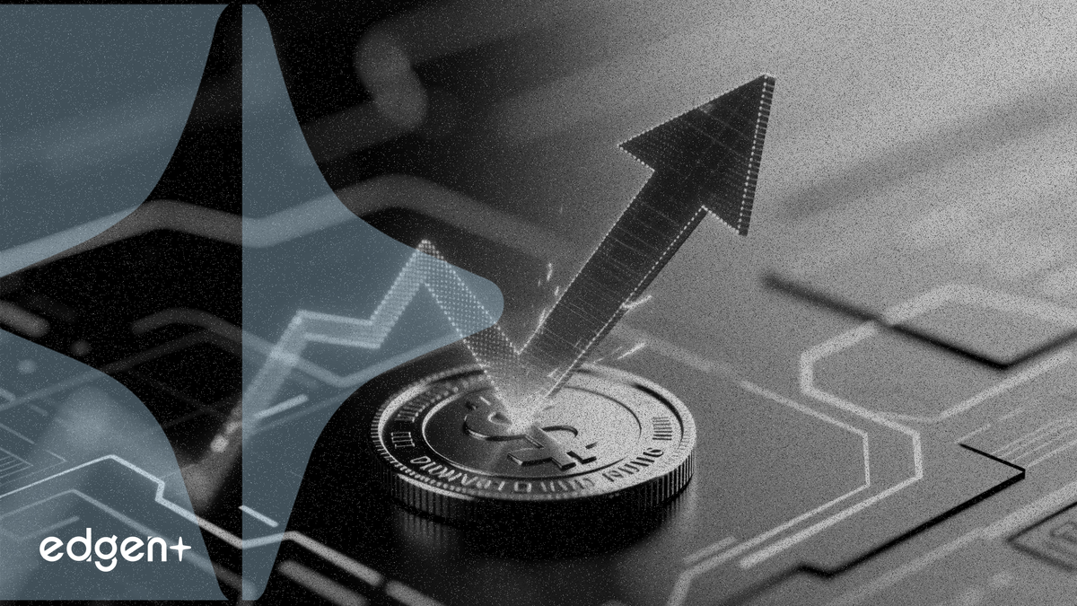 Le bénéfice de Zen Tour Tech chute de 19,2%, l'entreprise augmente son dividende