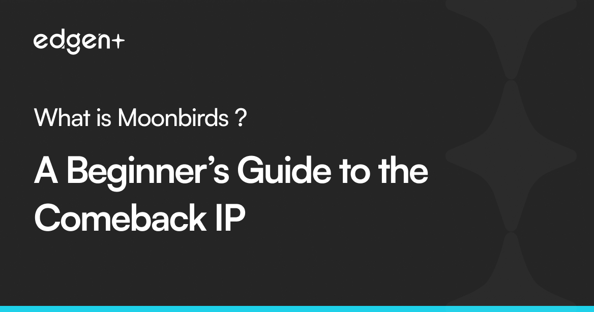 What is Moonbirds – A Beginner’s Guide to the Comeback IP
