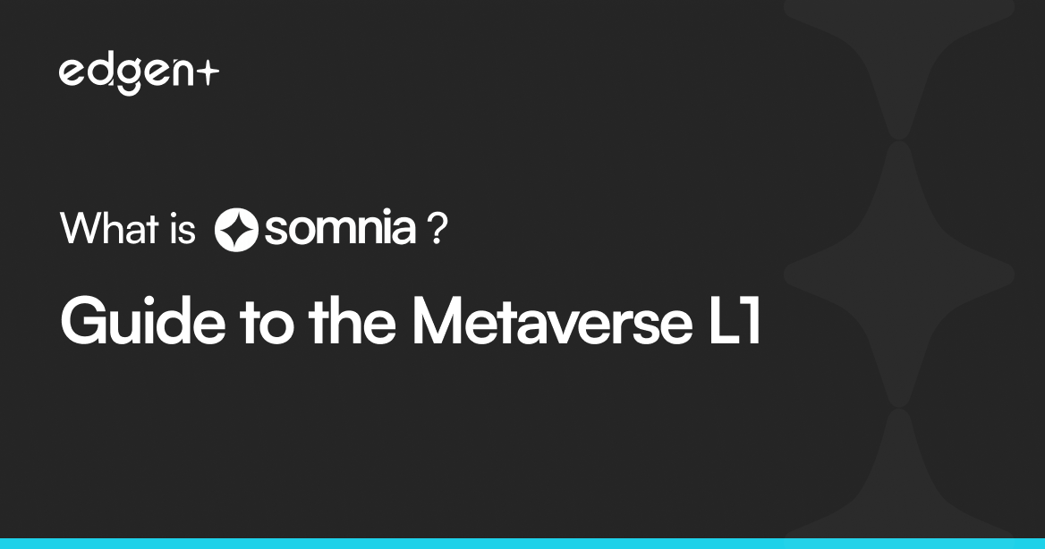 What is Somnia – Guide to the Metaverse L1