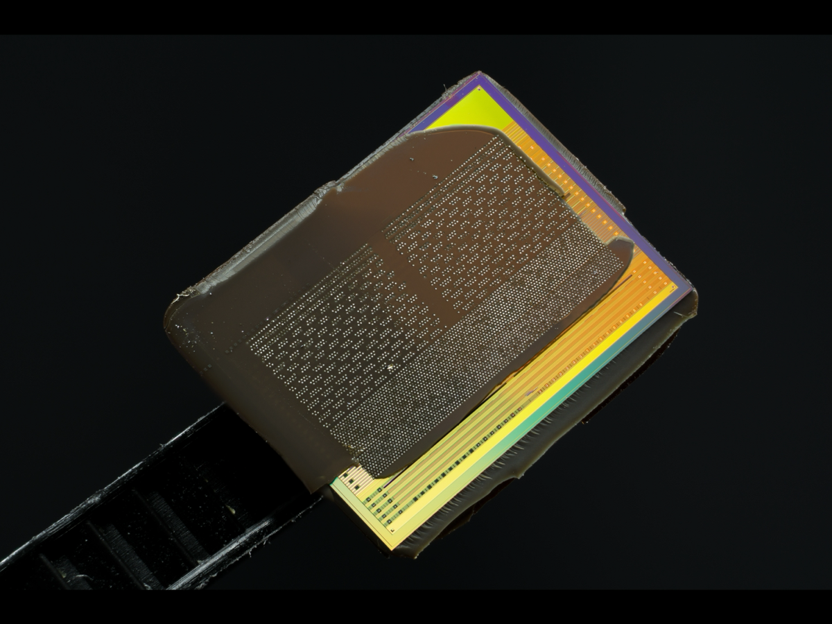 Micron vs SanDisk：AI内存超级周期的两面——为何美光的HBM胜局比闪迪的NAND狂欢更重要